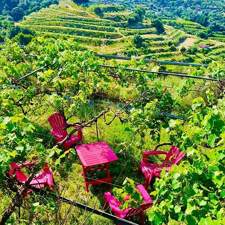 Echapée Belle - Vinayard View - Jacuzzi Bbq - Parking Appartement Nice